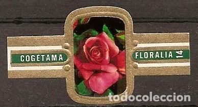 Vitolas de colecci&oacute;n: COGETAMA-43.-SERIE FLORALIA.-2&ordf; VERDE.-24 VITOLAS COMPLETA