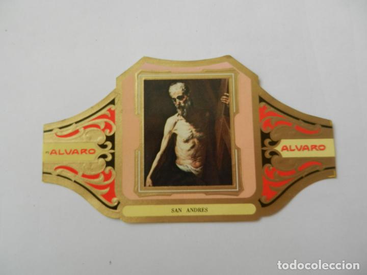 Vitolas de colecci&oacute;n: VITOLA ALVARO-SERIE CUADRO DE PINTORES ESPA&Ntilde;OLES- SAN ANDR&Eacute;S  - RIBERA.