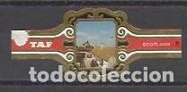 Vitolas de colecci&oacute;n: TAF-170.-SERIE ESCOCIA.-24 VITOLAS.- COMPLETA