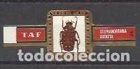 Vitolas de colecci&oacute;n: TAF-306.-SERIE ESCARABAJOS.-62a.-24 VITOLAS.- TIPO MEDIANO.-COMPLETA