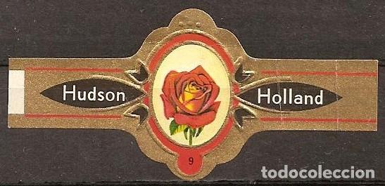 Vitolas de colecci&oacute;n: HUDSON-114.-SERIE ROSAS.- 12 VITOLAS.-COMPLETA