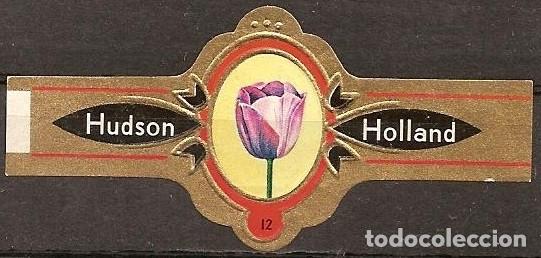 Vitolas de colecci&oacute;n: HUDSON-116.- SERIE TULIPANES.- EN NEGRO.-12 VITOLAS.-COMPLETA