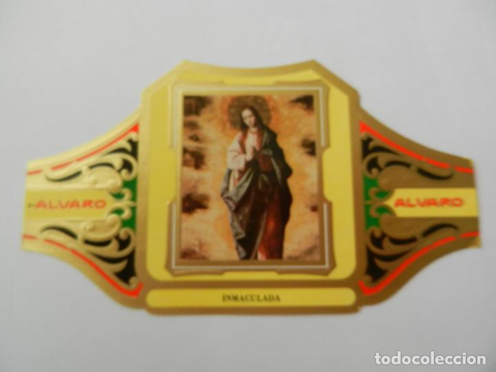 Vitolas de colecci&oacute;n: VITOLA ALVARO-SERIE CUADRO DE PINTORES ESPA&Ntilde;OLES- INMACULADA - ZURBAR&Aacute;N.