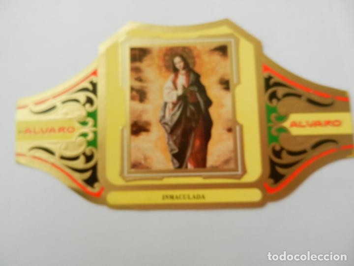 Vitolas de colecci&oacute;n: VITOLA ALVARO-SERIE CUADRO DE PINTORES ESPA&Ntilde;OLES- INMACULADA - ZURBAR&Aacute;N.