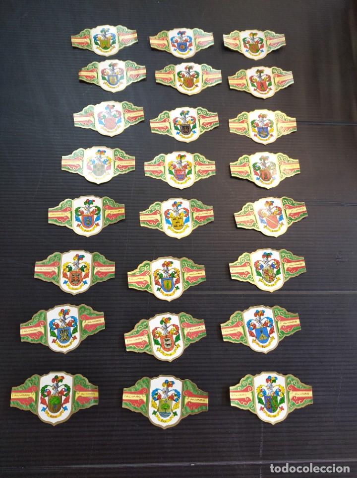 Vitolas de colecci&oacute;n: Lote de 24 antiguas Vitolas serie her&aacute;ldica, apellidos