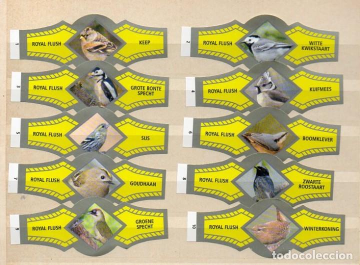 Vitolas de colecci&oacute;n: Vijosefa. Serie completa Royal Flush - Pajaros, 10 vitolas.