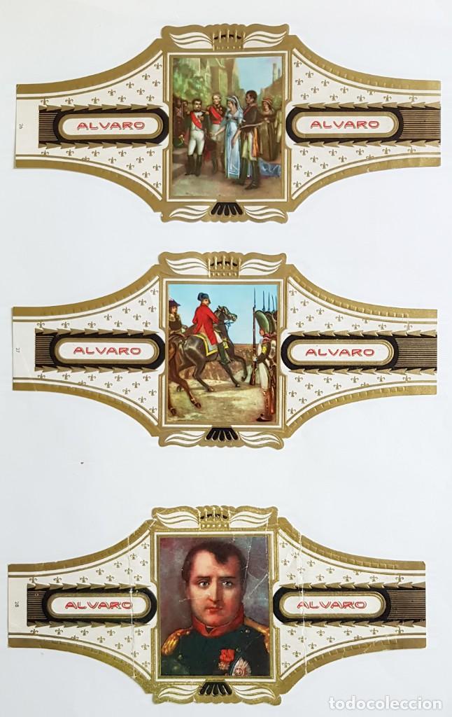 Vitolas de colecci&oacute;n: VITOLAS ALVARO SERIE NAPOLEON - N&ordm; 26 - 27 - 28