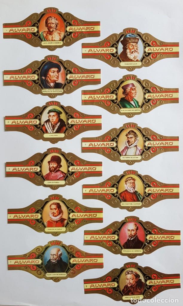 Vitolas de colecci&oacute;n: 12 VITOLAS ALVARO SERIE LITERATOS