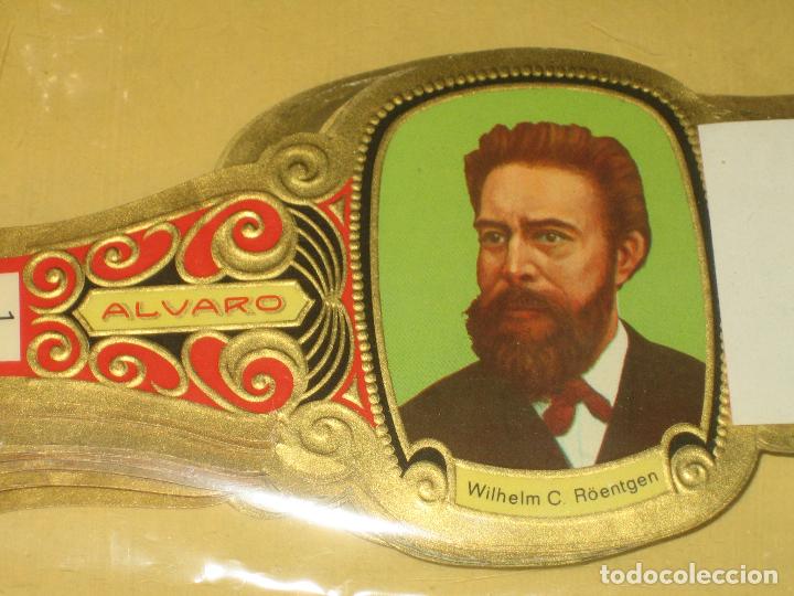 An&eacute;is de charuto de cole&ccedil;&atilde;o: VITOLAS - FISICA - COMPLETO 92