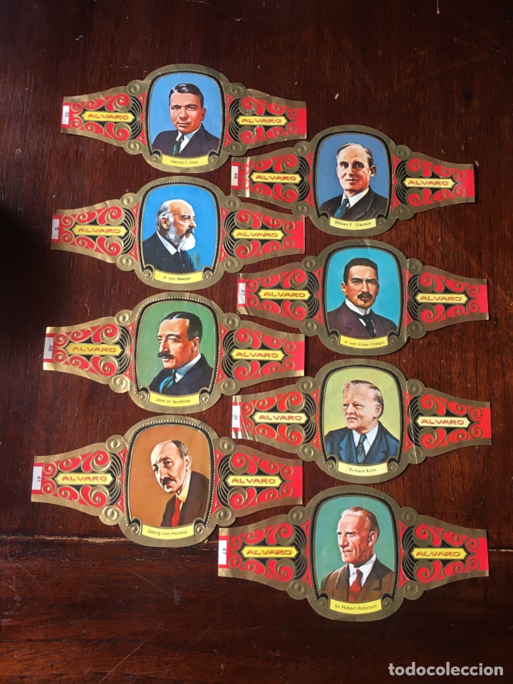 Vitolas de colecci&oacute;n: Vitolas Alvaro Serie Premios Nobel Qu&iacute;mica