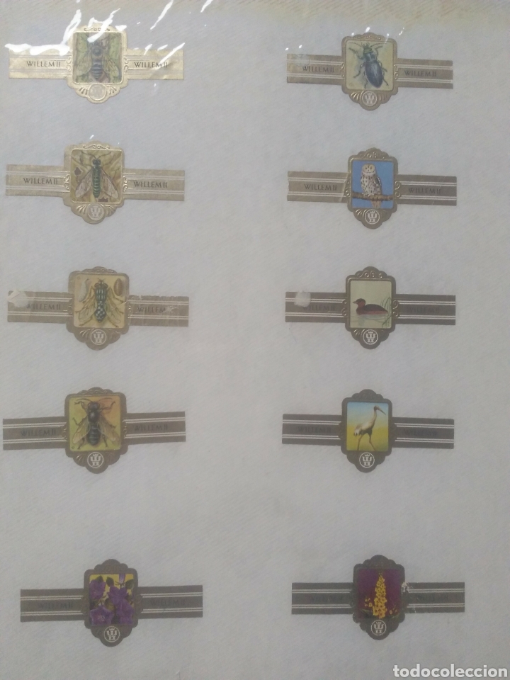 Vitolas de colecci&oacute;n: Colecci&oacute;n de vitolas volumen 7 - Foto 10
