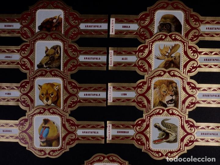 Vitolas de colecci&oacute;n: ANIMALES. ARAUTAPALA. 17 VITOLAS, SERIE A, INCOMPLETA