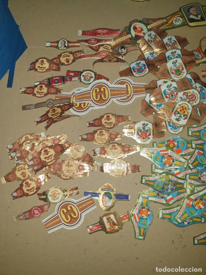 Vitolas de colecci&oacute;n: LOTE VITOLAS - Foto 1