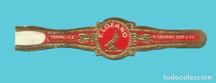 Collection cigar bands: VITOLA ANTIGUA - MARCA F. LOZANO (USA)