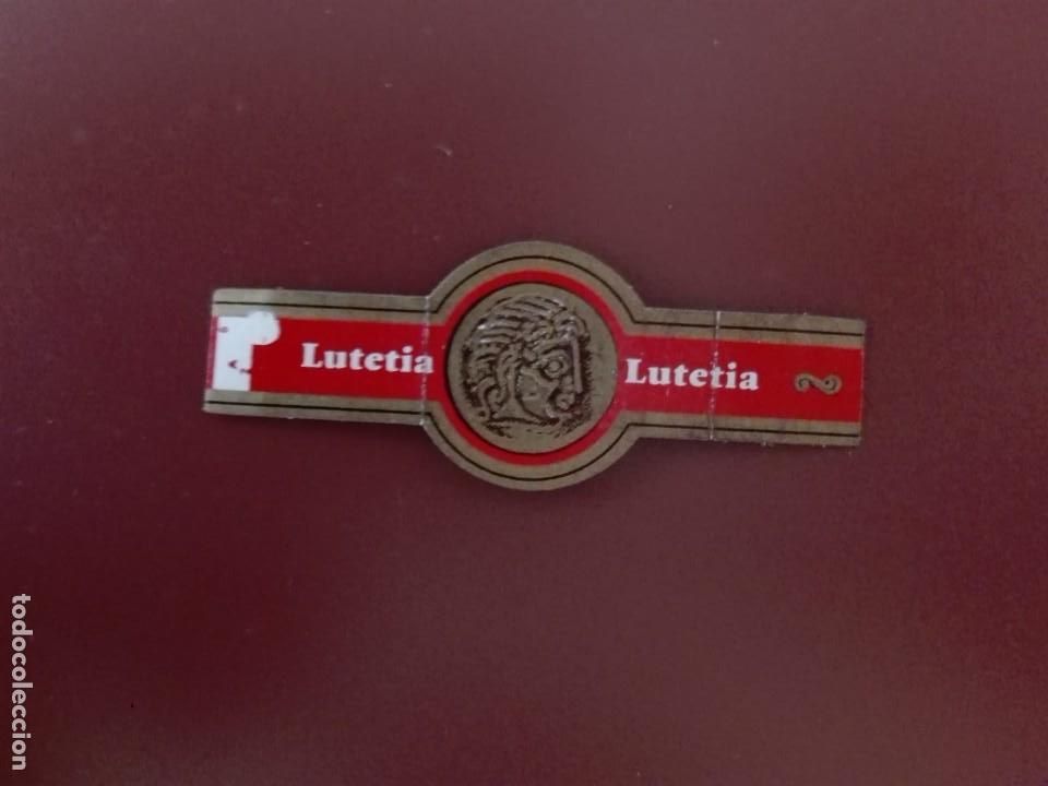Vitolas de colecci&oacute;n: VITOLA LUTETIA - Foto 1