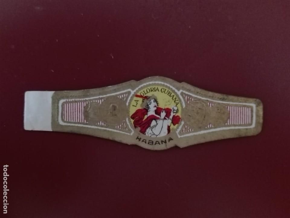 Collection cigar bands: VITOLA LA GLORIA CUBANA
