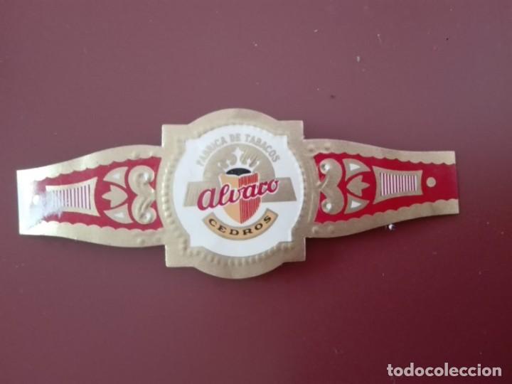 Vitolas de colecci&oacute;n: VITOLA ALVARO - CEDROS - Foto 1