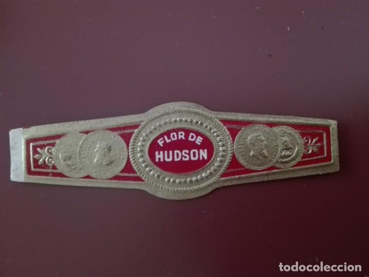 Vitolas de colecci&oacute;n: VITOLA FLOR DE HUDSON - Foto 1