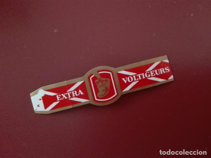 Vitolas de colecci&oacute;n: VITOLA EXTRA VOLTIGEURS - Foto 1