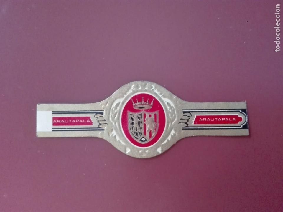 An&eacute;is de charuto de cole&ccedil;&atilde;o: VITOLA ARAUTAPALA