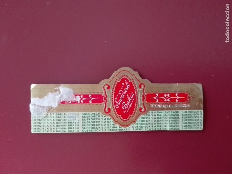 An&eacute;is de charuto de cole&ccedil;&atilde;o: VITOLA SUERDIECK S.A. BAHIA BRASIL