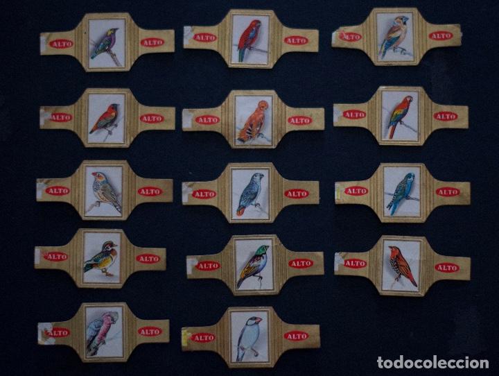 Vitolas de colecci&oacute;n: vitolas de aves - Foto 2