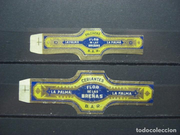 Vitolas de colecci&oacute;n: VITOLA ANTIGUA. FLOR DE LAS BRE&Ntilde;AS. (244) - Foto 1