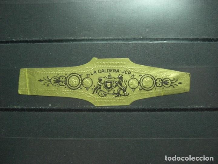 Collection cigar bands: VITOLA ANTIGUA. LA CALDERA J.C.P. (263)