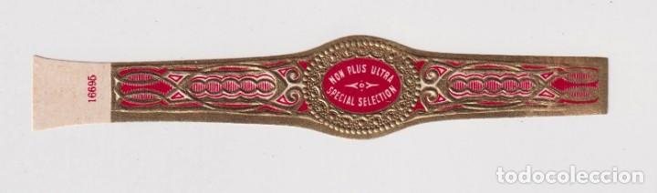 An&eacute;is de charuto de cole&ccedil;&atilde;o: VITOLA CASA NOU PLUS ULTRA SPECIAL SELECION N&ordm; 16695