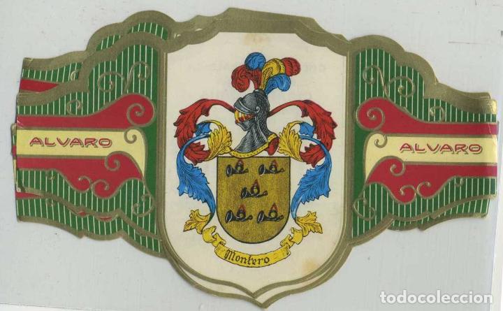 Bagues de cigare de collection: VITOLA COLECCI&Oacute;N HER&Aacute;LDICA SERIE III. MONTERO. VIT-097 ,3