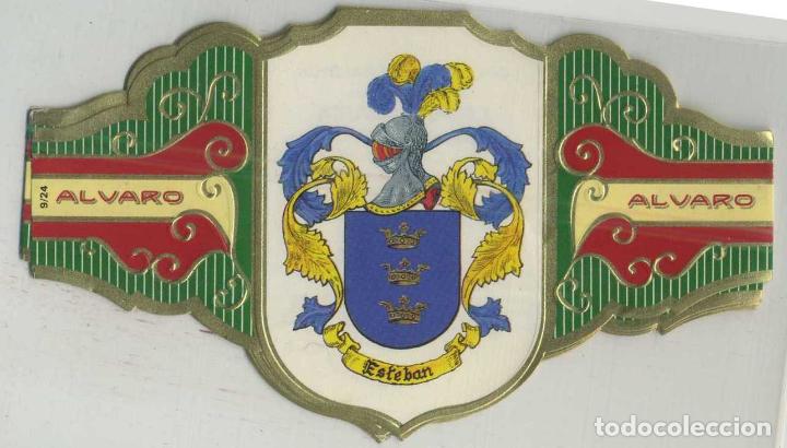 Bagues de cigare de collection: VITOLA COLECCI&Oacute;N HER&Aacute;LDICA SERIE IV. ESTEBAN. VIT-111 ,5