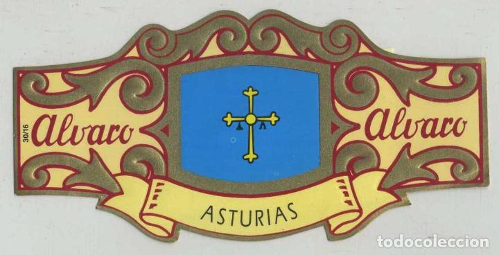 Bagues de cigare de collection: VITOLA COLECCI&Oacute;N ESPA&Ntilde;A EN EUROPA 30 VITOLAS. ASTURIAS. VIT-118