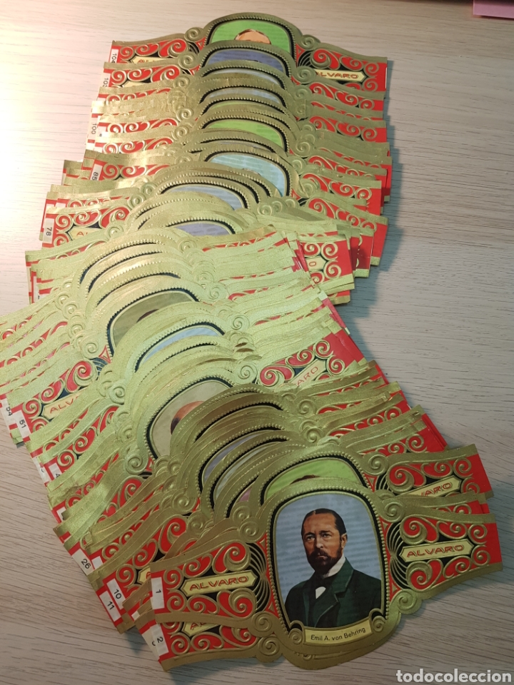 Collection cigar bands: SERIE COMPLETA 104 VITOLAS. PREMIOS NOBEL. MEDICINA Y FISIOLOGIA. ALVARO.