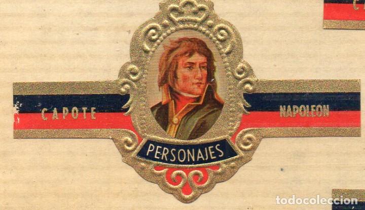 Vitolas de colecci&oacute;n: VITOLA, NAPOLEON, CAPOTE, SERIE PERSONAJES