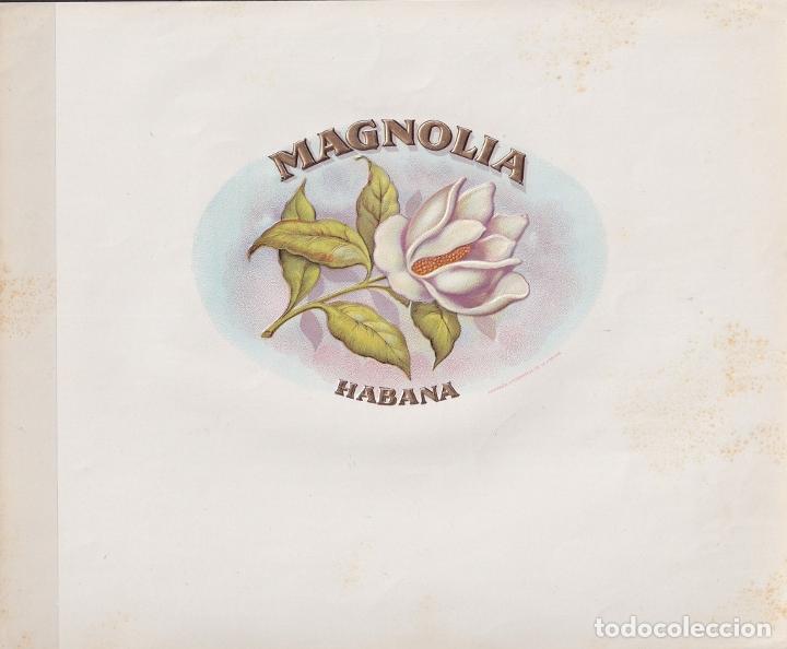 Vitolas de colecci&oacute;n: TAB-130 CUBA TOBACCO LEBEL 24x20cm. FABRICA DE TABACOS MAGNOLIA FLOWER