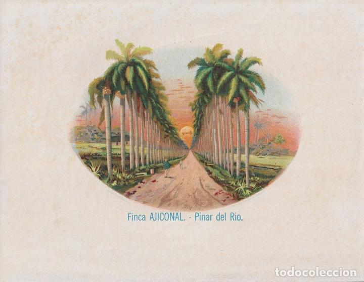 Vitolas de colecci&oacute;n: TAB-138 CUBA TOBACCO LEBEL 22x17cm. FABRICA DE TABACOS CHINCHAL FINCA AJICONAL PINAR DEL RIO