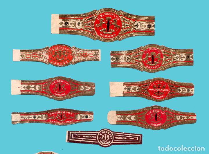 Vitolas de colecci&oacute;n: 8 VITOLAS ANTIGUAS - MARCA C. E. BECK Y CIA (CUBA)