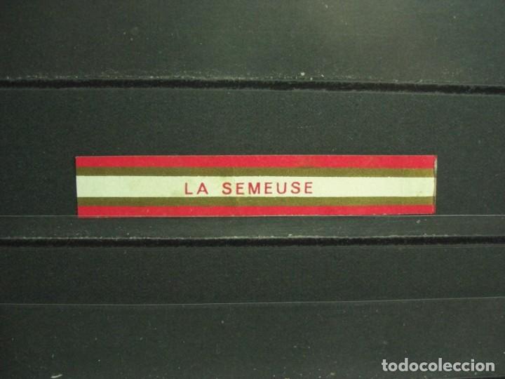 An&eacute;is de charuto de cole&ccedil;&atilde;o: VITOLA HABANA ANTIGUA . LA SEMEUSE. (1503)