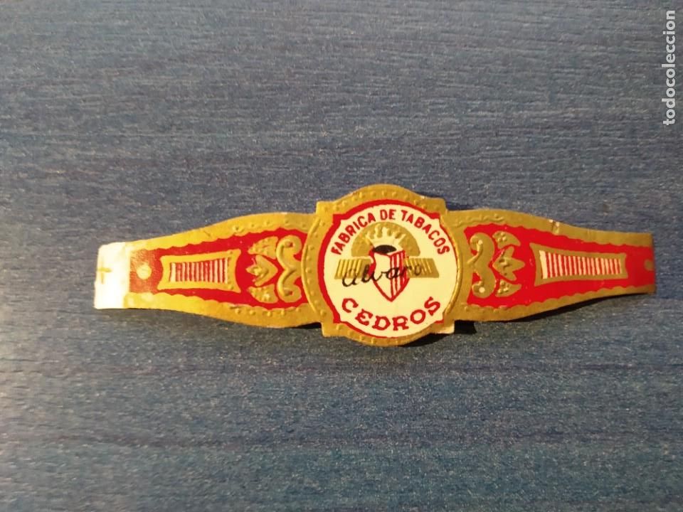 Vitolas de colecci&oacute;n: Vitola. Fabrica de Tabacos Alvaro Cedros