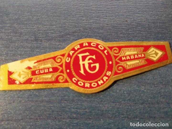 Vitolas de colecci&oacute;n: Vitola Caracol Coronas. Cuba Habana