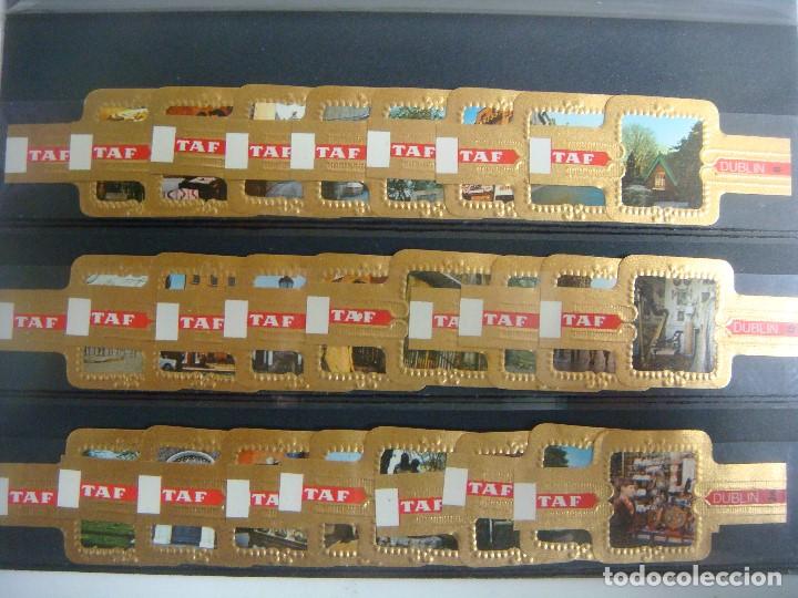 Vitolas de colecci&oacute;n: VITOLA COLECCION DE 24 VITOLAS DE DUBLIN DE TAF -(P)