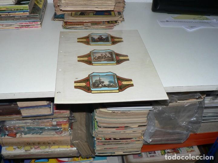 Vitolas de colecci&oacute;n: COLECCION DE VITOLAS - Foto 30