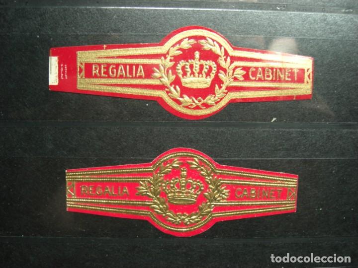 An&eacute;is de charuto de cole&ccedil;&atilde;o: VITOLAS CUBANAS ANTIGUAS. Tema Corona. : REGALIA CABINET. (1615)