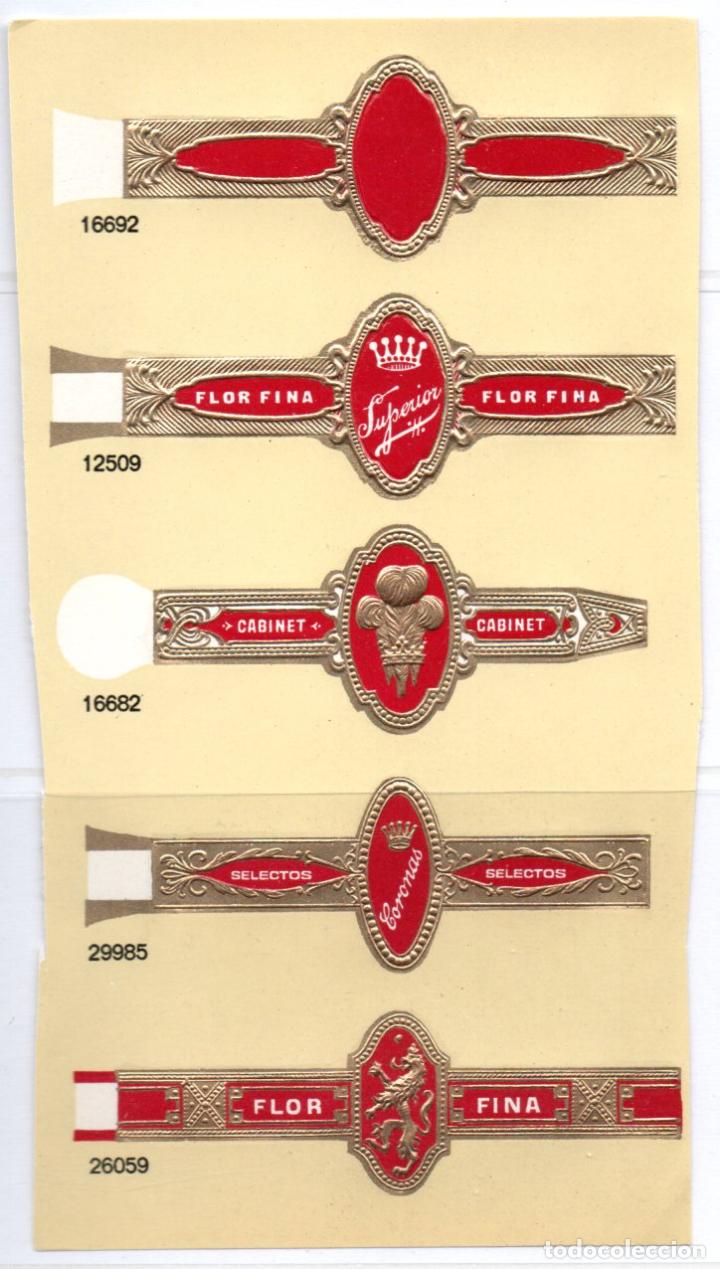 Vitolas de colecci&oacute;n: VITOLAS - SIN TROQUELAR - Foto 1