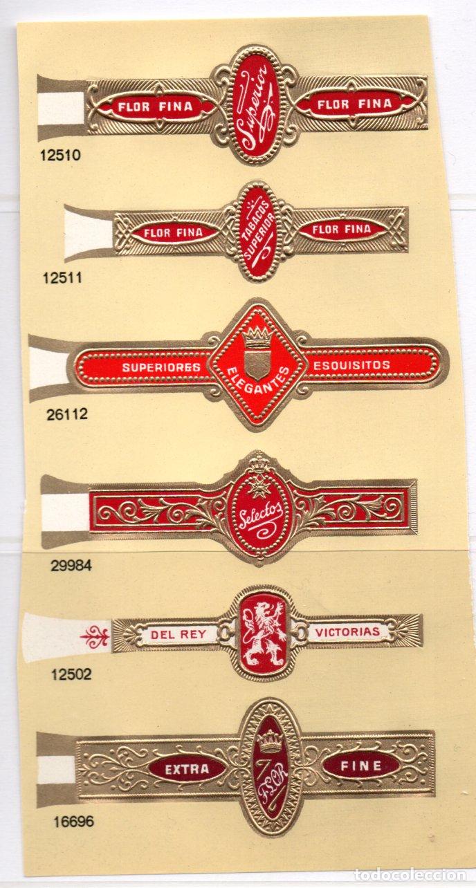 Vitolas de colecci&oacute;n: VITOLAS - SIN TROQUELAR - Foto 1