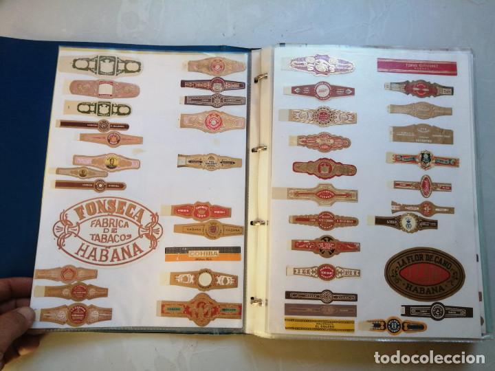 Vitolas de colecci&oacute;n: Coleccion etiquetas papeles de puros tabacos vitolas cubanos cigarros cigarrillos mas de 350 items