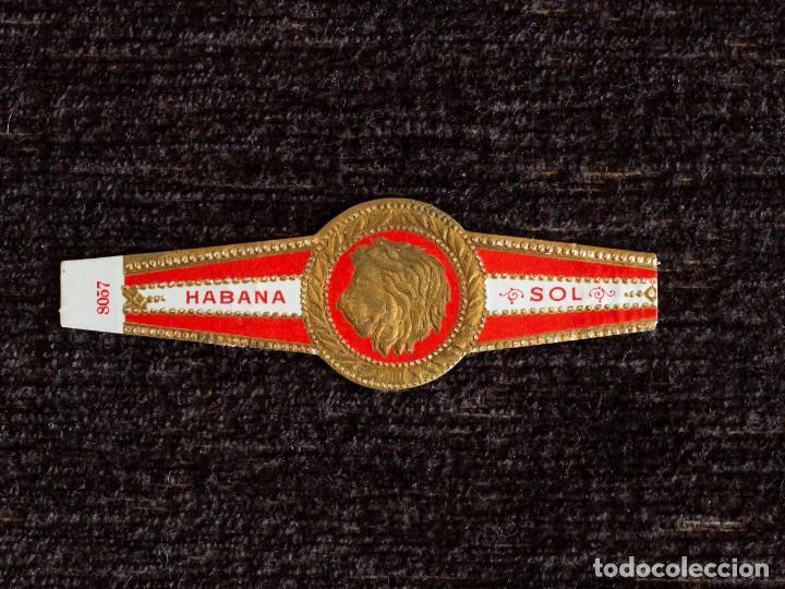 Vitolas de colecci&oacute;n: Vitola Cuba: Le&oacute;n - SOL - n&ordm;7 - Foto 1