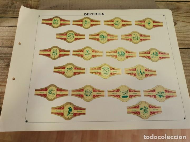 Vitolas de colecci&oacute;n: PARCIVAL, OLIMPIADAS, 20 VITOLAS, SERIE COMPLETA