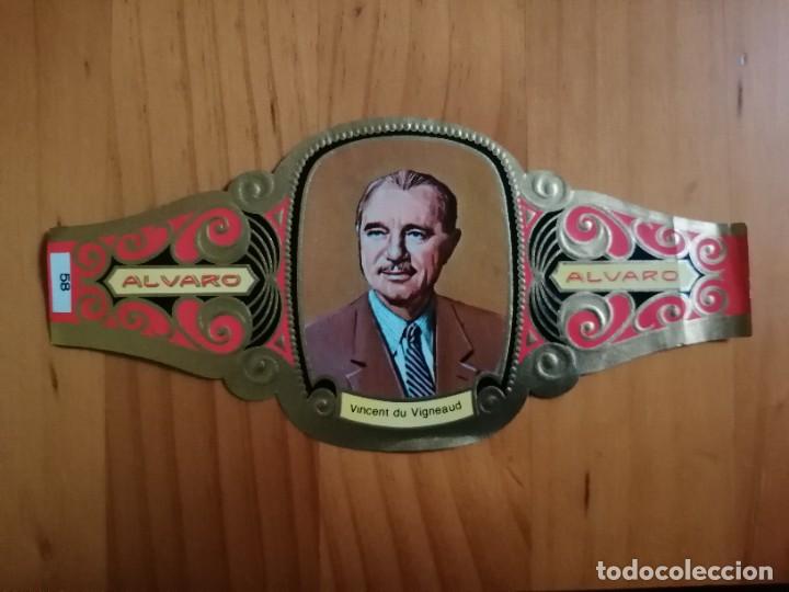 Vitolas de colecci&oacute;n: VITOLA ALVARO - SERIE: PREMIOS NOBEL, VINCENT DU VIGNEAUD.