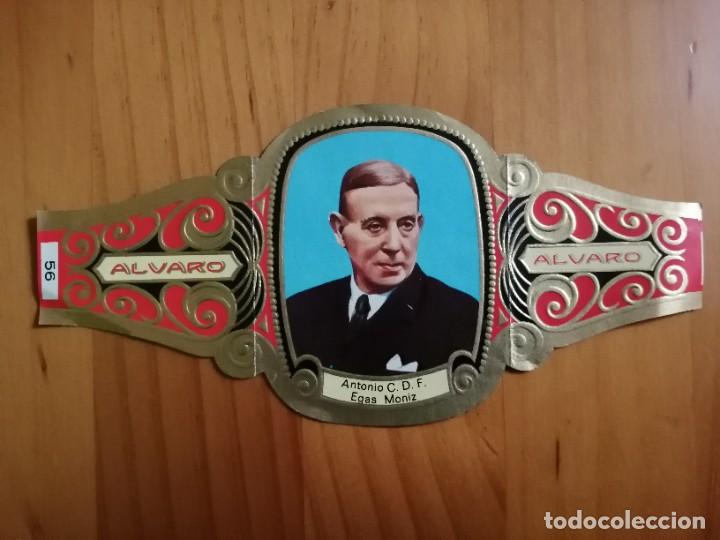 Vitolas de colecci&oacute;n: VITOLA ALVARO - SERIE: PREMIOS NOBEL: DR. ANTONIO C. D. F. EGAS MONIZ.